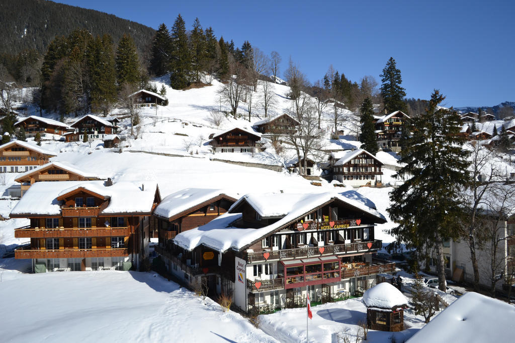 Apartment Residence Caprice Grindelwald Habitación foto
